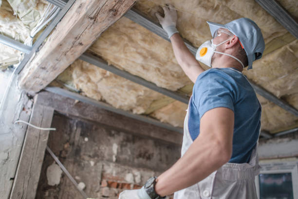 Best Cellulose Insulation in Ocean City, MD
