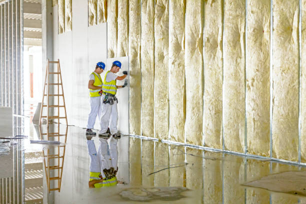 Best Blown-in Insulation in Ocean City, MD
